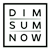 dimsum - отзыв о компании iDatica
